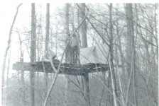 Tree Fort.jpg