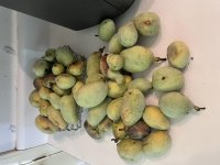 IMG_2647.jpeg