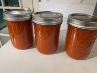IMG_2744.jpeg