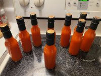 IMG_2773.jpeg