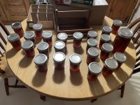 IMG_2778.jpeg