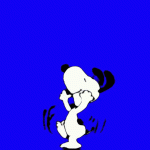 IMG_8211.gif