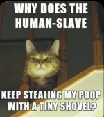 1760535233633.png