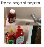 FB_IMG_1548182905351.jpg