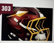 Helmet.jpeg