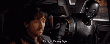 IMG_5718.gif