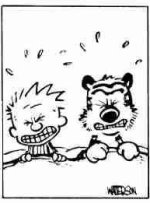 calvinhobbes.jpg