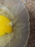 Egg 1.jpg