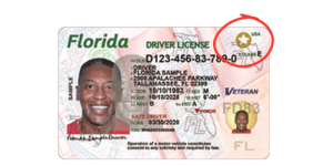 REAL-ID-Gold-Star-circled2-4051382112.png