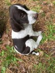 arlo2.jpg arlo2.jpg
