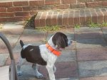 arlo6.jpg arlo6.jpg