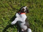 arlo4.jpg arlo4.jpg