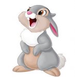 image.jpeg image.jpeg