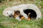 DSC_6214.jpg