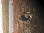 caribou 1.jpeg