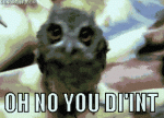35DF8AC9-E32E-41B9-BF3C-7F02A0B6A489.gif