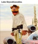 DAE3BEB7-2B02-4E8D-9794-228AFB6E0E98.jpeg
