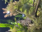 BC77C407-5A0D-4B57-AD3F-2ECA0933C072.jpeg