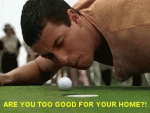 go-to.gif
