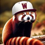Panda6.jpg