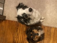 IMG_5082.jpeg