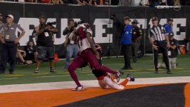 Terry McLaurin TD vs Cinci.jpg