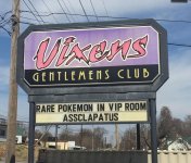 Vixens.jpg