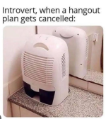 1732458729772.png