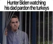 1733101038354.png