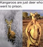 IMG_6259.jpeg