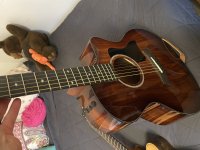 IMG_0673.jpeg
