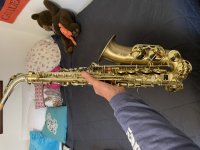 IMG_0677.jpeg