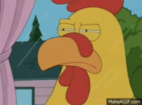 IMG_2435.gif