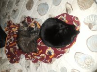 20250123_073305.jpg