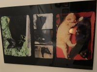 IMG_0821.jpeg