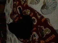 20250130_073227.jpg