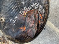 IMG_0856.jpeg