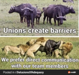 RDT_20250209_1802261120586257776140473.png