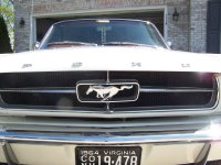 100_8838.JPG