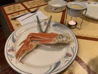 IMG_5359.jpg