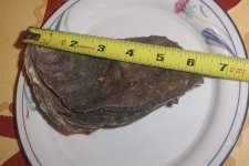 DCP_8670.JPG
