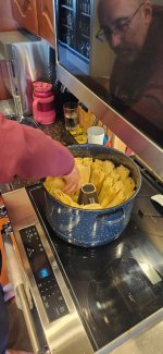 IMG_20250311_104049.jpg