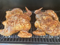 IMG_1223.jpeg