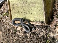 IMG_1518.jpeg