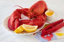 steamed-lobster-5097205-hero-06ab15ae53234b0ea162b60d54e57856.jpg