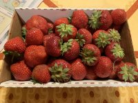 IMG_5829.jpg